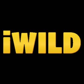 iWild Casino dostawcy gier